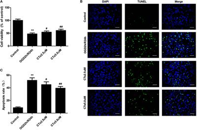 Cryptotanshinone Attenuates Oxygen-Glucose Deprivation/ Recovery-Induced Injury in an in vitro Model of Neurovascular Unit